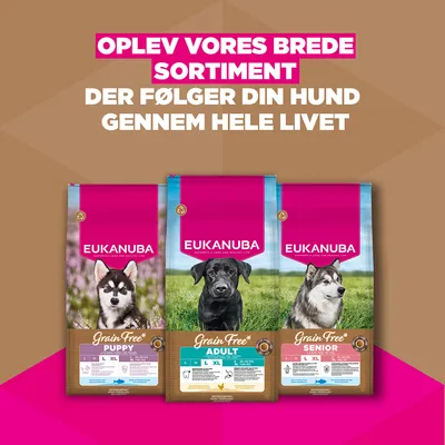 Eukanuba Grain Free Adult Large med kylling