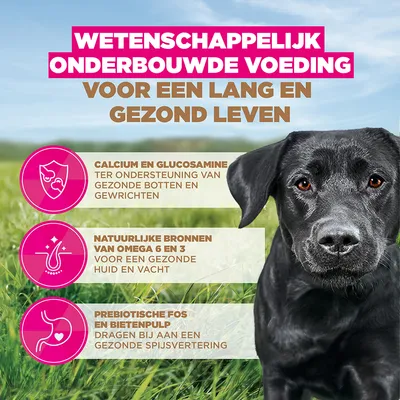 Eukanuba Grain Free Adult Large & Giant Kip