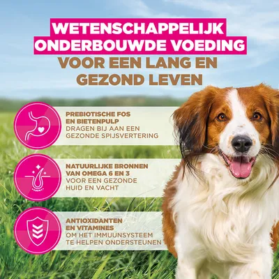 Eukanuba Grain Free Adult Small & Medium Lam