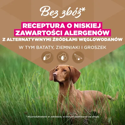 Eukanuba Grain Free Adult Large, jagnięcina