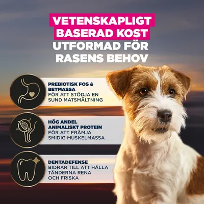 Vetenskapligt baserad näring, utvecklad för rasers specifika behov. Prebiotiska FOS och betmassa, hög andel animaliskt protein, Dentadefense för en sund matsmältning, muskler och tänder. Vetenskapligt baserad näring, utvecklad för rasers specifika behov. Prebiotiska FOS och betmassa, hög andel animaliskt protein, Dentadefense för en sund matsmältning, muskler och tänder.