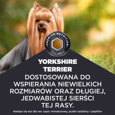 Yorkshire terier. Odpowiednio dostosowany do wspomagania małych rozmiarów i długiej, jedwabistej sierści tej rasy. Odpowiedni także dla szpica miniaturowego, pudla miniaturowego oraz papillon.