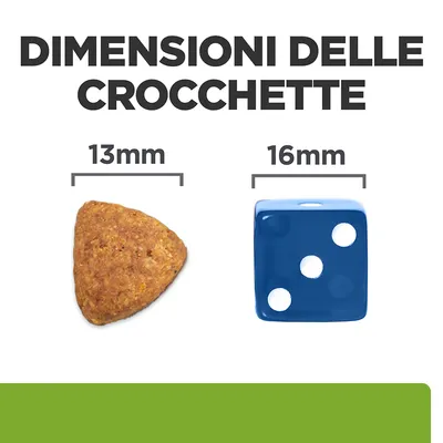 Dimensioni delle crocchette: confronto tra una crocchetta da 13 mm e un dado blu da 16 mm, testo visibile 'DIMENSIONI DELLE CROCCHETTE', '13 mm', '16 mm'.