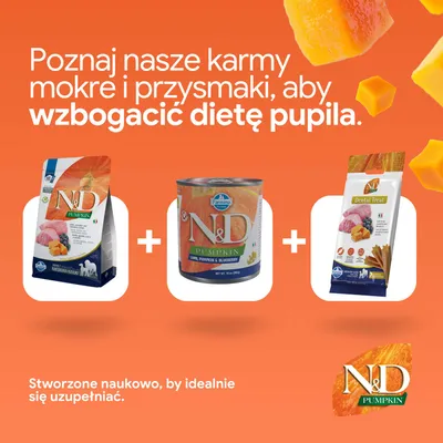 N&D Pumpkin karma sucha, mokra oraz przysmaki dentystyczne obok siebie. Tekst: Opracowane naukowo, aby idealnie się uzupełniały. N&D Pumpkin karma sucha, mokra oraz przysmaki dentystyczne obok siebie. Tekst: Opracowane naukowo, aby idealnie się uzupełniały.