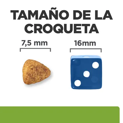Tamaño de la croqueta: croqueta de 7,5 mm junto a un dado azul de 16 mm para comparación visual.