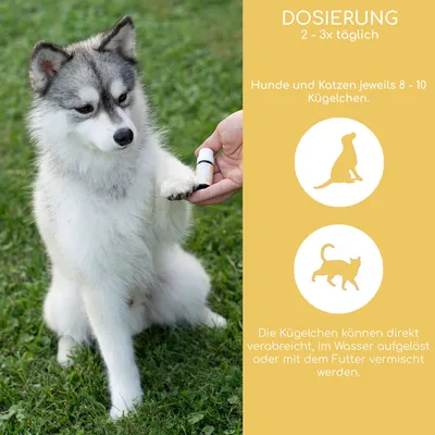 Wolfsbacher Natur Bach-blomster