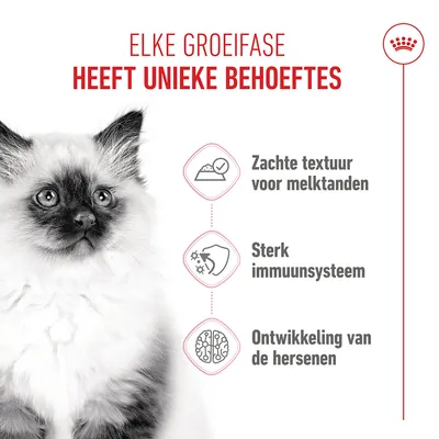 Royal Canin Kitten Instinctive in Saus