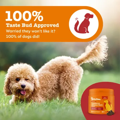 Zesty Paws Cranberry Urinary Care Chews, 100% taste bud approved, 100% of dogs did, Can: 90 pieces, Made in Turkey.