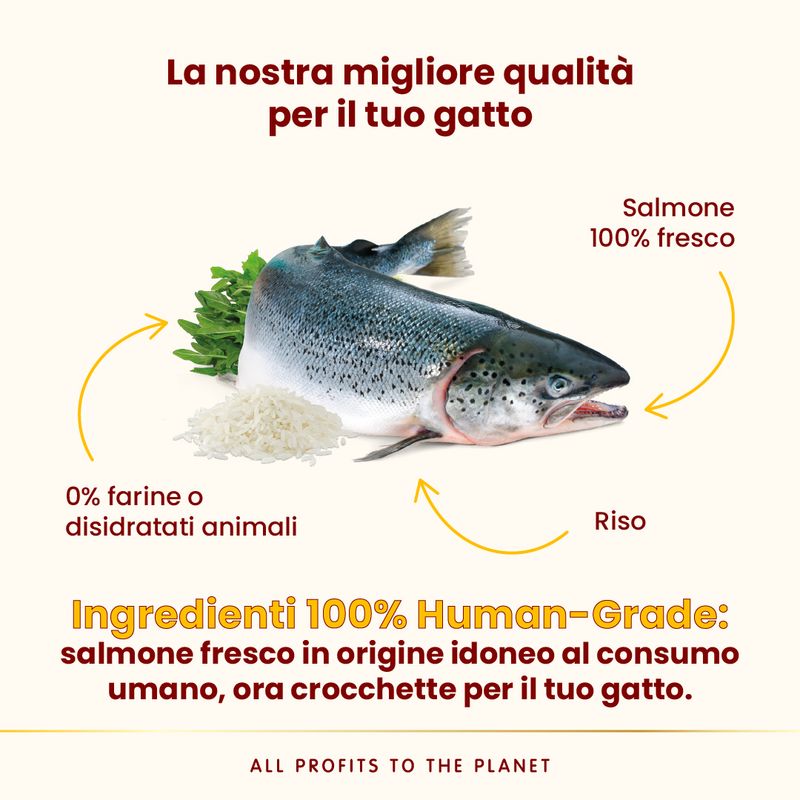 Almo Nature HFC Adult Highly Appetizing Salmone fresco