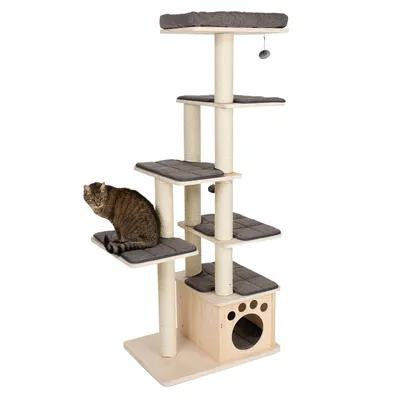 Kratzbaum mit mehreren Ebenen, Sisalstämmen, gepolsterten Liegeflächen und Höhle. Katze sitzt auf einer der Plattformen.