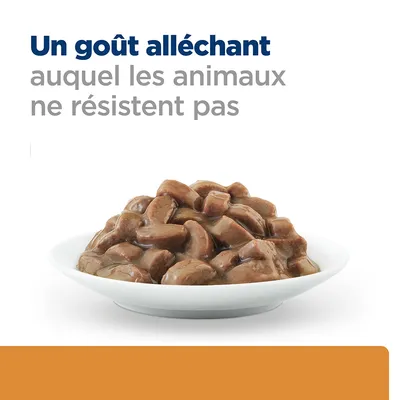 Un goût alléchant auquel les animaux ne résistent pas, assiette de bouchées en sauce pour animaux présentée sur fond blanc.