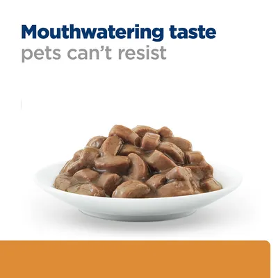 Bowl of meaty chunks in gravy with the text 'Mouthwatering taste pets can’t resist' shown above.