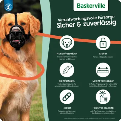 Baskerville Maulkorb: verantwortungsvolle Fürsorge, sicher & zuverlässig. Hundefreundlich, sicher, komfortabel, leicht verstellbar, robust, positives Training. Produktvorteile erklärt.