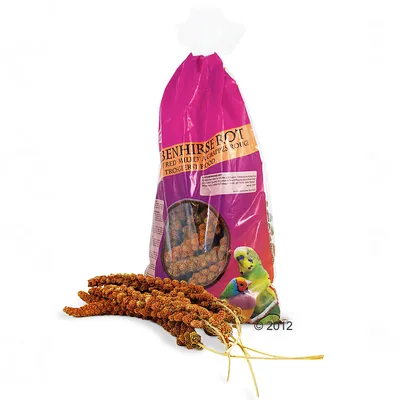 Confezione di panico rosso per uccelli, con scritta 'BENHIRSE ROT' e immagine di due pappagallini; alcuni grappoli di panico sono visibili fuori dalla confezione.