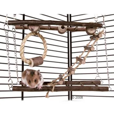 Diggy sett med tilbehør for hamster og mus