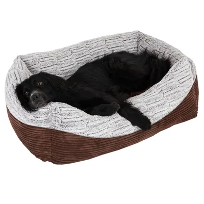 Schwarzer Hund liegt in einem braunen und grauen Hundebett mit weicher Polsterung.