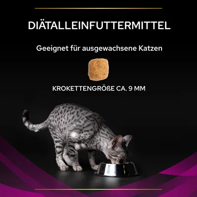 Texte en allemand : DIÄTALLEINFUTTERMITTEL, Geeignet für ausgewachsene Katzen, KROKETTENGRÖSSE CA. 9 MM ; croquette ronde et chat gris tigré mangeant dans une gamelle métallique.