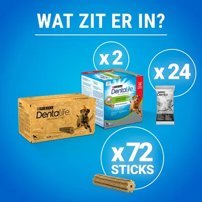 Purina Dentalife Daily Oral Care hondensticks, verpakking met 2 dozen, elk 24 stuks, totaal 72 sticks zichtbaar. Tekst: 'Wat zit er in?' en aantallen x2, x24, x72 sticks.
