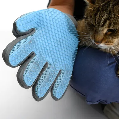 Blauer Pflegehandschuh mit Noppen zur Fellpflege, neben einer Katze. Zeigt Funktion des Handschuhs beim Entfernen von Tierhaaren.