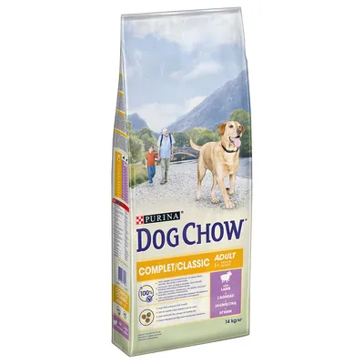 Sac de croquettes Purina Dog Chow Complet/Classic Adult 1+ à l’agneau, 14 kg. Texte visible : 100 % complet, avec agneau, informations nutritionnelles sur le côté.