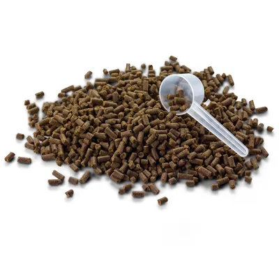 Brown pellet feed pieces with transparent measuring spoon, suitable for dosing.