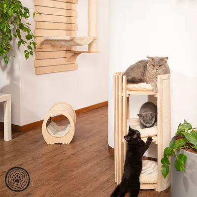 Holz-Katzenmöbel mit Kratzbaum, Liegeflächen und Spielhöhle. Drei Katzen nutzen die Möbel: eine liegt oben, eine schläft in der Mitte, eine spielt unten. Pflanze im Vordergrund.