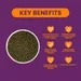 Burgess Excel Guinea Pig Nuggets with Blackcurrant & Oregano