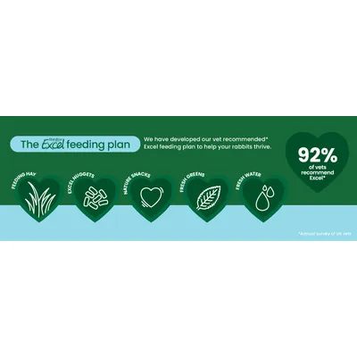 Burgess Excel feeding plan: Feeding Hay, Excel Nuggets, Nature Snacks, Fresh Greens, Fresh Water. 92% of vets recommend Excel. Annual survey of UK vets.