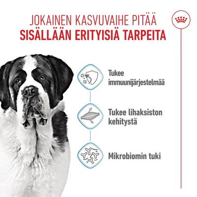 Grafiikka, jossa on koira ja kolme symbolia: immuunijärjestelmän tukeminen, lihaskehityksen tukeminen, mikrobiomin tukeminen. Teksti suomeksi. Grafiikka, jossa on koira ja kolme symbolia: immuunijärjestelmän tukeminen, lihaskehityksen tukeminen, mikrobiomin tukeminen. Teksti suomeksi.