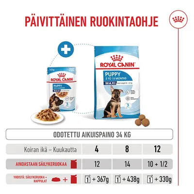 Ruokintataulukko Royal Canin Puppy Maxi -tuotteelle, kun odotettu aikuispaino on 34 kg: Ikä kuukausina 4, 8, 12; määrät märkä- ja kuivaruokayhdistelmälle.