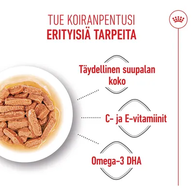 Kulho märkäruoalla, Teksti: Täydellinen suupalan koko, C- ja E-vitamiinit, Omega-3 DHA.