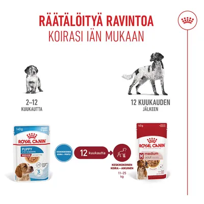 Royal Canin ruokasuositus: 2–12 kuukauden iässä Puppy Medium, 12 kuukauden jälkeen Medium Adult keskikokoisille koirille, 11–25 kg. Ikäperusteinen vaihto 12 kuukauden jälkeen.