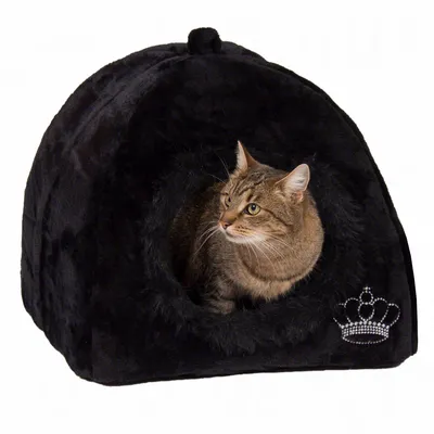 Mačka v črni plišasti hiški za mačke z okroglo odprtino in vezeno krono iz bleščic na sprednji strani.