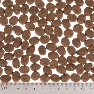 Croquettes rondes marron foncé pour animaux, disposées à plat avec une règle en centimètres en bas indiquant la taille des croquettes de 1 à 2 cm environ.