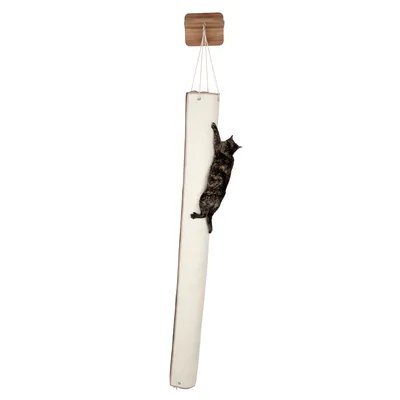 Kratzmatte aus Stoff, vertikal aufgehängt an einer Holzhalterung. Katze klettert daran hoch.