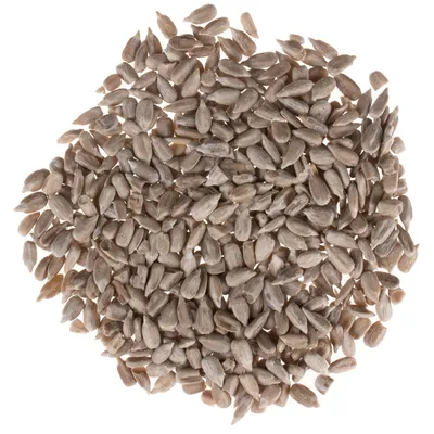 Close-up of shelled sunflower seeds, suitable as bird food or snack for animals.