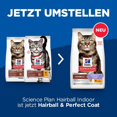 Science Plan Hairball Indoor ist jetzt Hairball & Perfect Coat. Neues Produkt von Hill's mit Huhn für erwachsene Katzen, empfohlen von Tierärzten.