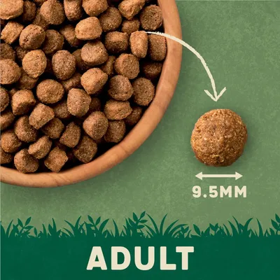 Kibble size for adult shown as 9.5mm diameter, with a bowl of kibble and one piece highlighted to indicate dimensions.