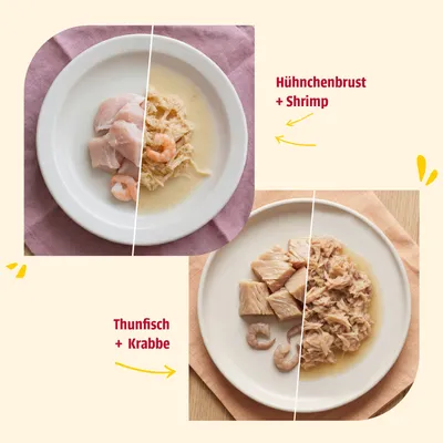 Zwei Teller mit Nassfutter: links Hühnerbrust und Shrimp, rechts Thunfisch und Krabbe. Zutaten und zubereitetes Futter nebeneinander dargestellt. Zwei Teller mit Nassfutter: links Hühnerbrust und Shrimp, rechts Thunfisch und Krabbe. Zutaten und zubereitetes Futter nebeneinander dargestellt.