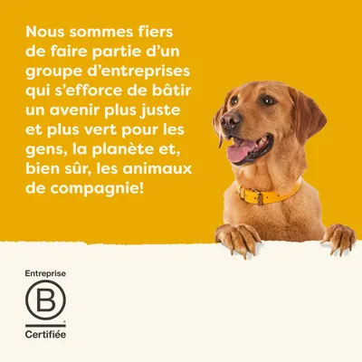 Entreprise certifiée B. Nous sommes fiers de faire partie d’un groupe engagé pour un avenir plus juste et plus vert pour les personnes, la planète et les animaux de compagnie. Entreprise certifiée B. Nous sommes fiers de faire partie d’un groupe engagé pour un avenir plus juste et plus vert pour les personnes, la planète et les animaux de compagnie.