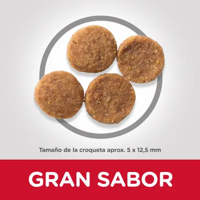 Cuatro croquetas redondas de pienso. Texto: Tamaño de la croqueta aprox. 5 x 12,5 mm. Gran sabor.