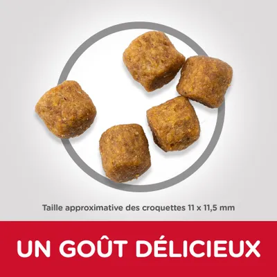 Croquettes en forme de cubes, taille approximative 11 x 11,5 mm. Texte visible : UN GOÛT DÉLICIEUX.