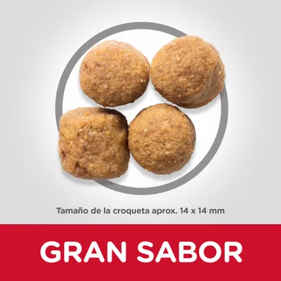 Cuatro croquetas redondas, tamaño aproximado 14 x 14 mm. Texto visible: GRAN SABOR.