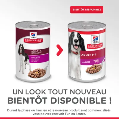 Deux boîtes Hill's Science Plan Adult 1-6 with Beef, ancien et nouveau design. Texte : « Bientôt disponible ». Vous pouvez recevoir l’un ou l’autre emballage pendant la transition.