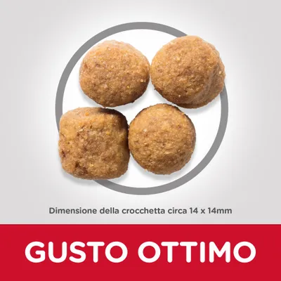 Quattro crocchette, dimensione circa 14 x 14 mm. Testo visibile: GUSTO OTTIMO.