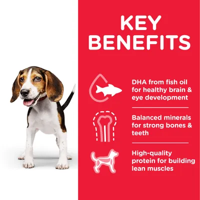 KEY BENEFITS: DHA from fish oil for healthy brain & eye development, balanced minerals for strong bones & teeth, high-quality protein for building lean muscles. Κείμενο στα αγγλικά.