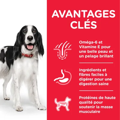 AVANTAGES CLÉS : Oméga-6 et Vitamine E pour une belle peau et un pelage brillant, ingrédients et fibres faciles à digérer, protéines de haute qualité pour la masse musculaire.