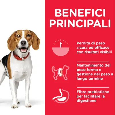 BENEFICI PRINCIPALI: perdita di peso sicura ed efficace con risultati visibili, mantenimento del peso forma e gestione a lungo termine, fibre prebiotiche per facilitare la digestione.