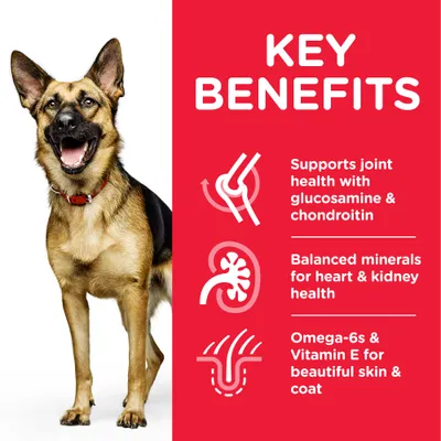 Teksti englanniksi: Key benefits. Supports joint health with glucosamine & chondroitin, balanced minerals for heart & kidney health, omega-6s & vitamin E for beautiful skin & coat.