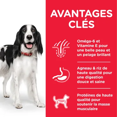 AVANTAGES CLÉS : Oméga-6 et Vitamine E pour une belle peau et un pelage brillant, agneau & riz de haute qualité pour une digestion douce et saine, protéines de haute qualité pour la masse musculaire.